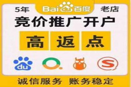 网络推广竞价实战案例分析集